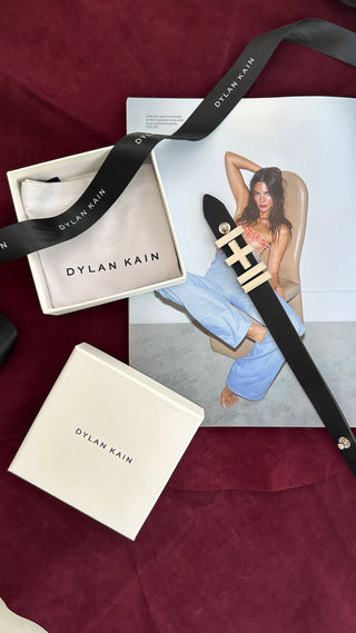 Archive: The Birkin Belt Silver